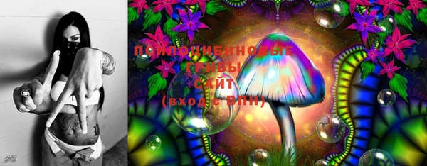 эйфоретик Верхний Тагил