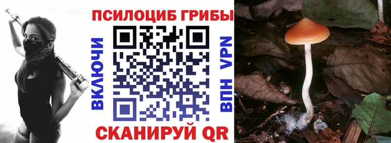 наркота Княгинино Псилоцибиновые грибы мухоморы